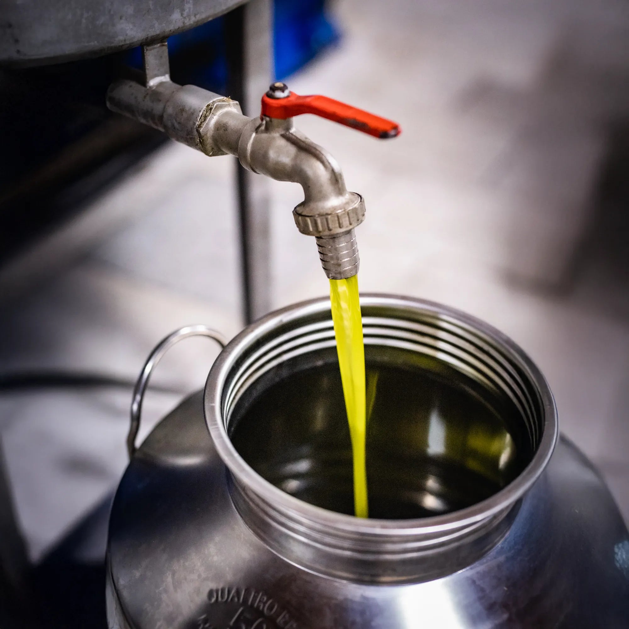 Di Marco Olio Sicilian Olive Oil